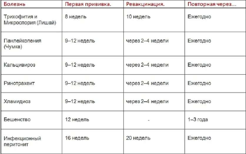 Первая прививка котенку возраст. Схема прививок для котенка. График прививок для кошек таблица. Когда котятам делают 1 прививку. Прививки кошкам по возрасту таблица.