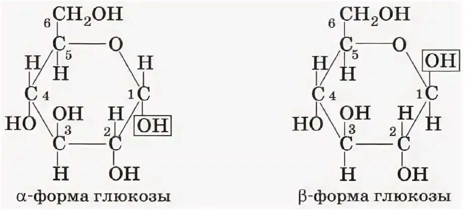 Моносахариды гексозы. Динамическое равновесие Глюкозы. Транспортная форма Глюкозы. PH Глюкозы в водном растворе.