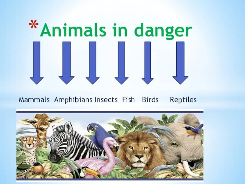 Animals in danger at present