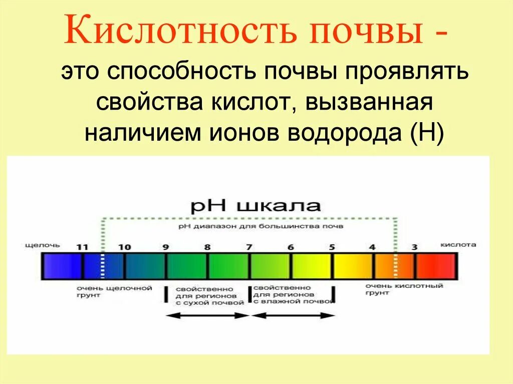 Кислотность почвы таблица PH. Шкала кислотности PH почвы. РН 6,5 кислотность почвы. РН 5 кислотность.