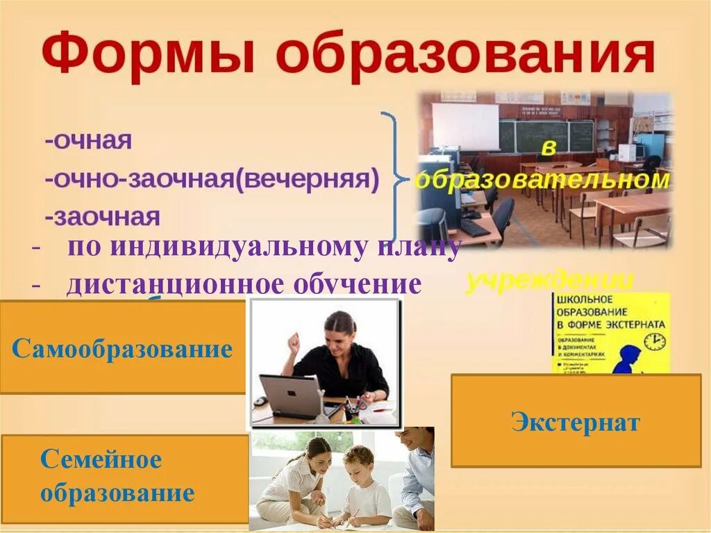 Обществознание образование в российской федерации самообразование. Образование для презентации. Презентация на тему образование. Тема образование. Обществознание презентация.