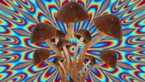Как получить mushrooms