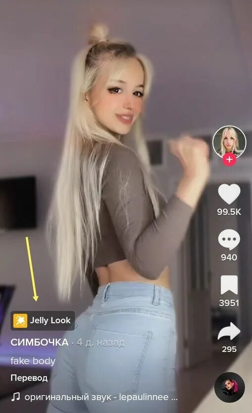 Голова симбочки из анимации. Simbochka блогерша. Симбочка дипфейк. Симбочка дипфейк. Симбочка тик токер.