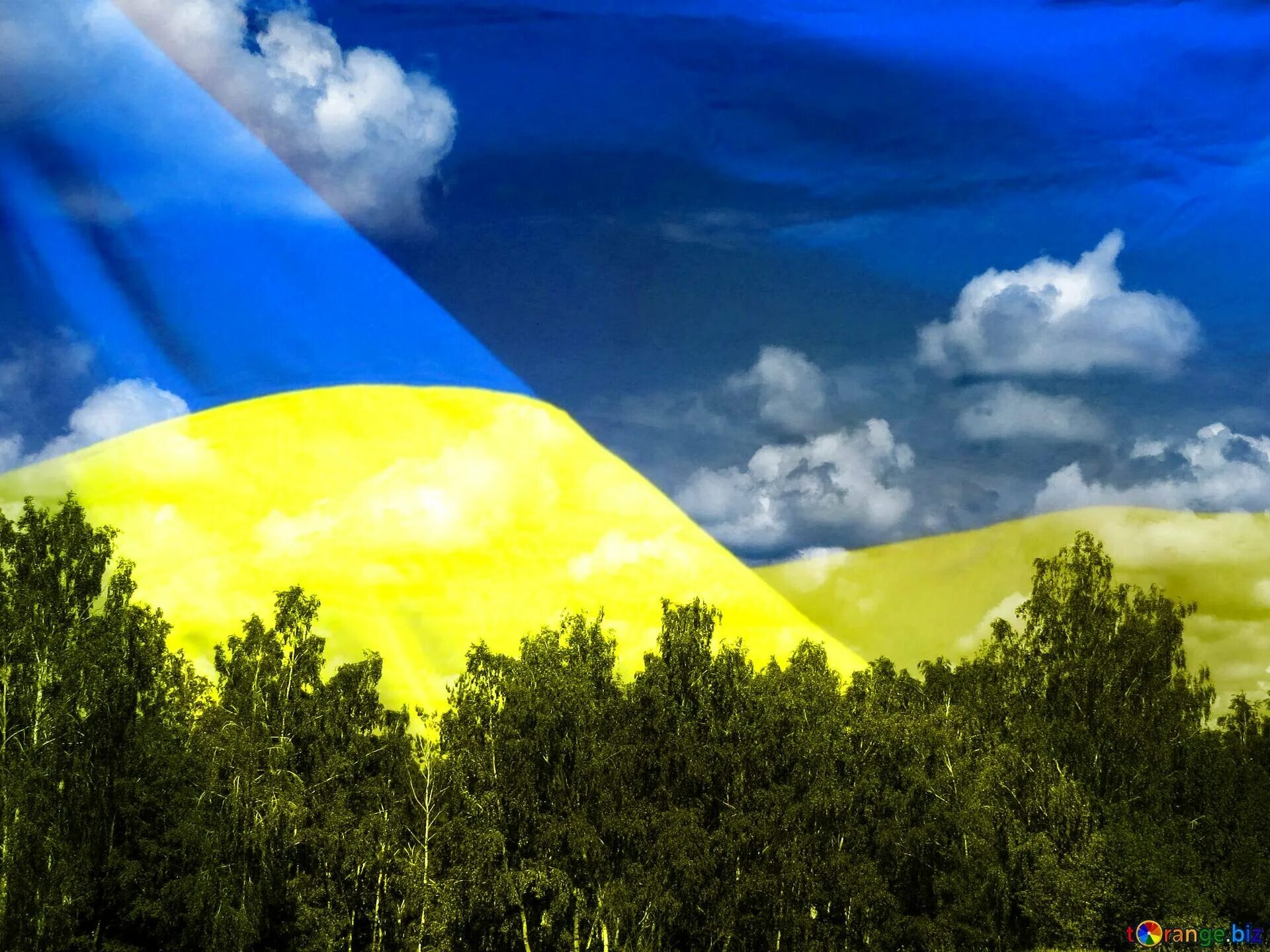 Украинский край. Флаг Украины. Изображение Украины. Украина картинки красивые. Украина HD.