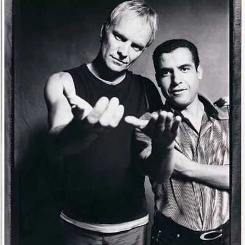 Стинг десерт роуз. Sting & sabo goldcap - desert rose. Desert rose стинг. Cheb mami desert rose. Sting cheb.