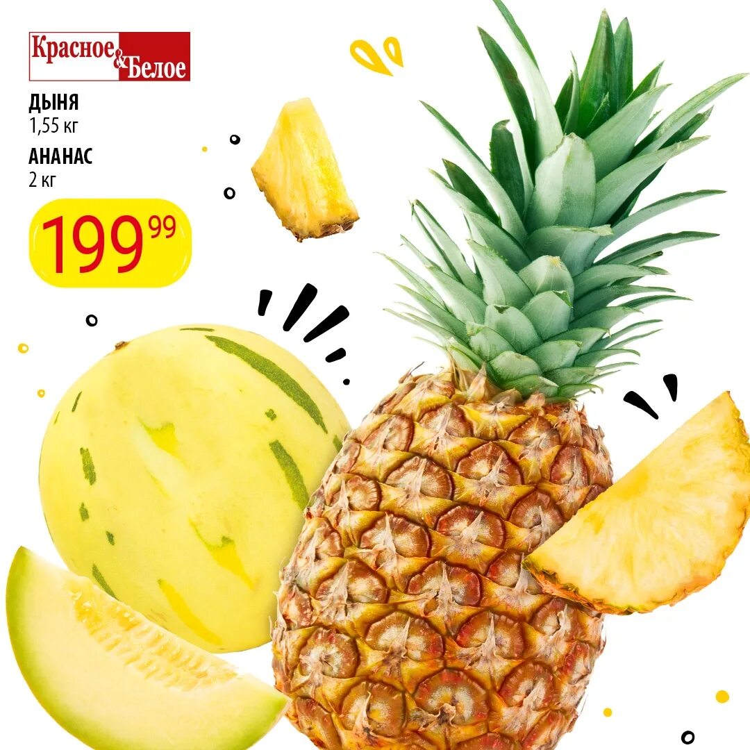 Дыня как ананас на зиму. Дыня ананас. фрукты дыня ананас. мини дыня ананас. гибрид дыни и ананаса.