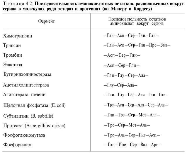 Ала сер про. Аминокислотная последовательность. Последовательность аминокислотных остатков. Ферменты с аминокислотной последовательностью. Последовательность аминокислот.