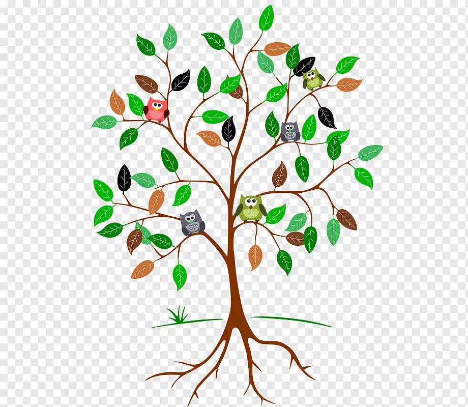 Open tree