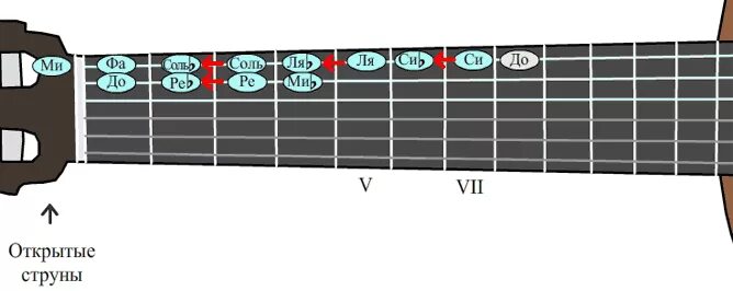 Лады на 6 струнной гитаре. Ноты на струнах гитары 6 струн. Ноты на гитарном грифе 6 струнной гитары. Нота Ре на гитаре на 6 струне. Ноты на ладах гитары