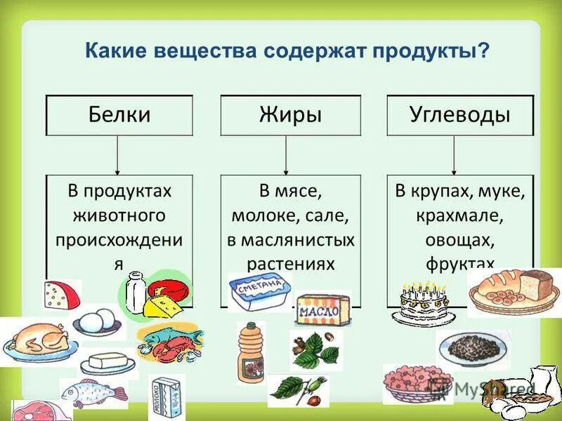 Где больше всего содержится. В чем содержится белок список продуктов. продукты содержащие белки список продуктов. список продуктов которые содержат белок. где содержатся белки.