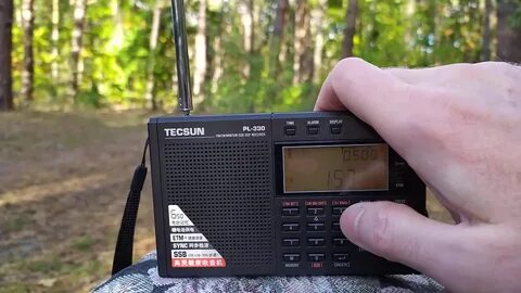 Tecsun 330