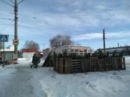 Елочные базары ульяновск 2023