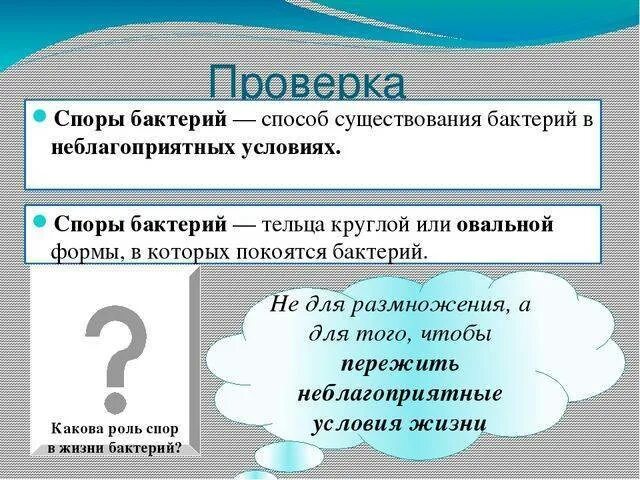 Роль ответов в споре. Роль спор у бактерий. Роль споры в жизни бактерий. Какова роль в жизни бактерий. Роль споры у бактерий.