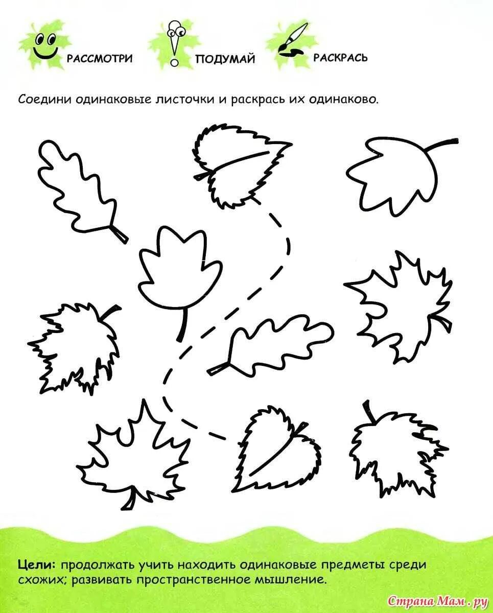 Задания для 2 5 лет. Развивающие задания для дошкольников 3-4 года. Задания для детей 4-5 лет на развитие. Развивающие упражнения для детей 3-4 лет. Развивающие задания для деток 3 лет.