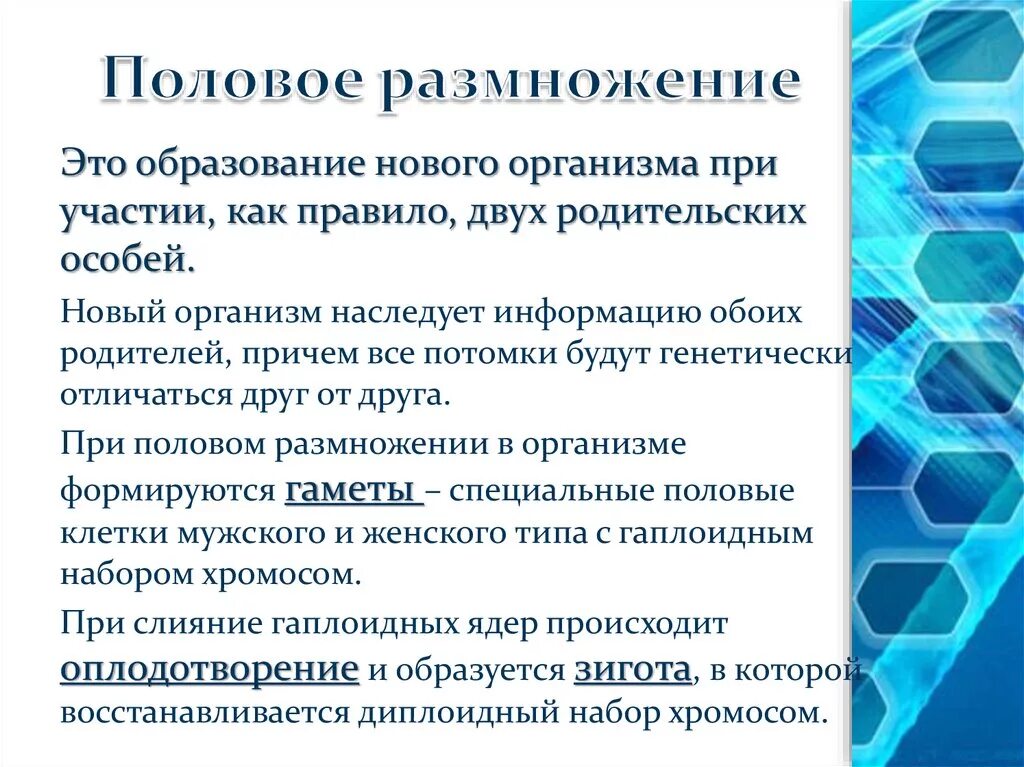 В половом размножении принимают участие. При половом размножении участвуют особые клетки. Что образуется при половом размножении. При половом размножении. При половом размножении новый организм.