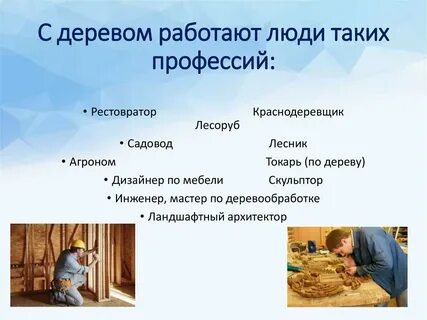 Профессии связанные с производством и обработкой дерева