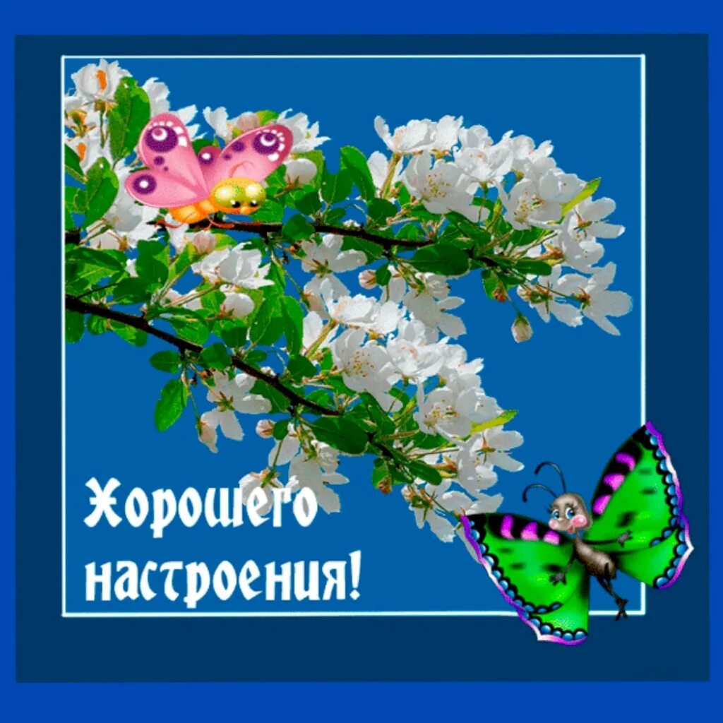Гифы с добрым хорошим настроением