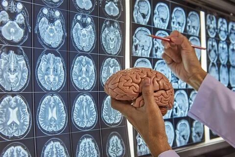 Ученые о работе мозга человека