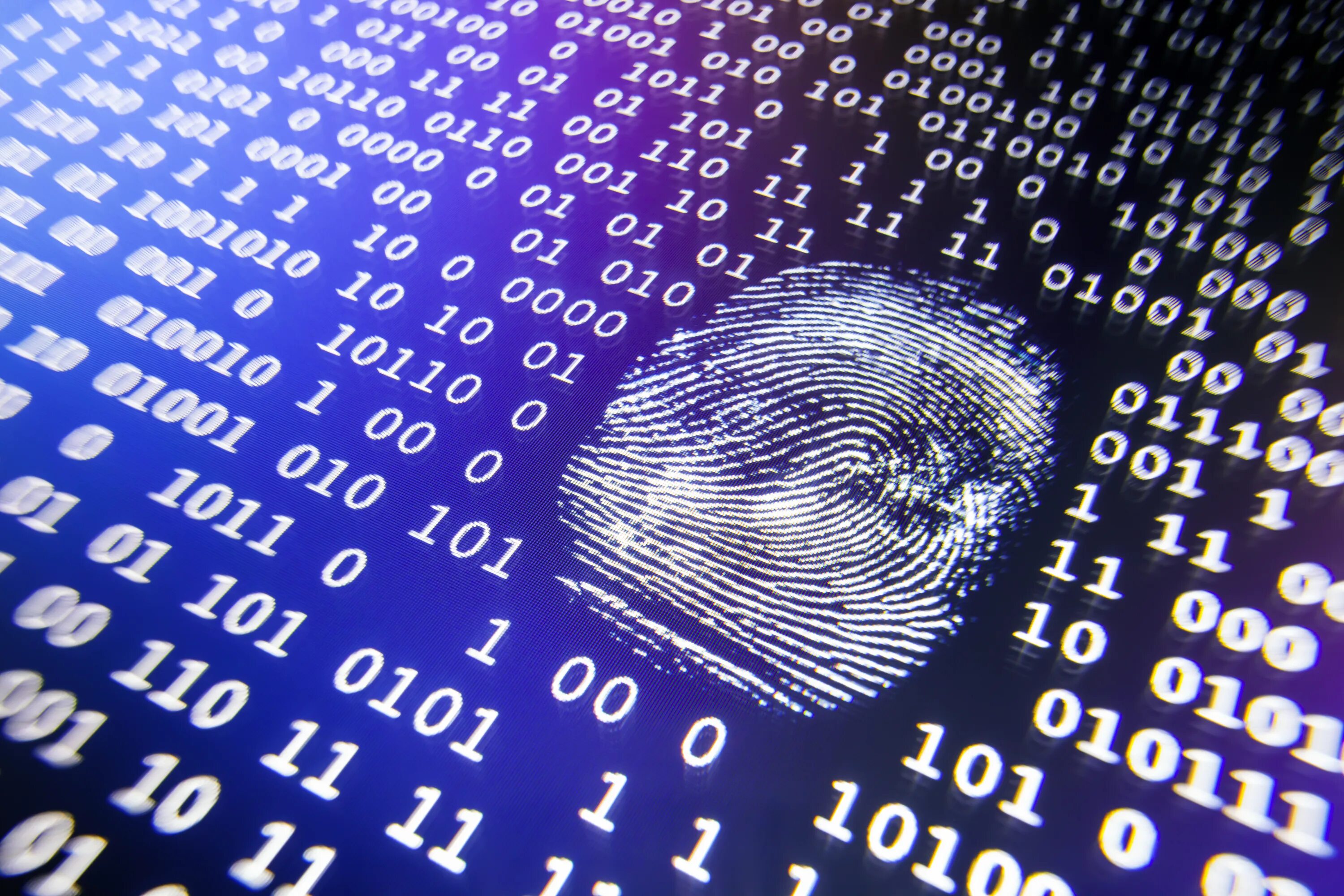 Data id. Data id