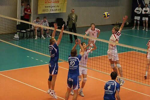 коллегия судей по волейболу санкт петербург