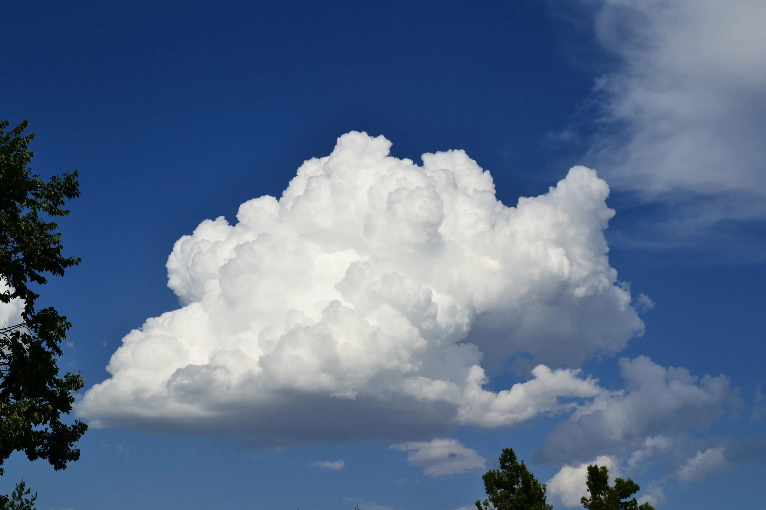 Кучевые (Cumulus, cu). Кучево-дождевые облака. Кучевые Кучевые облака. Кучевые средние – Cumulus mediocris (cu med.).