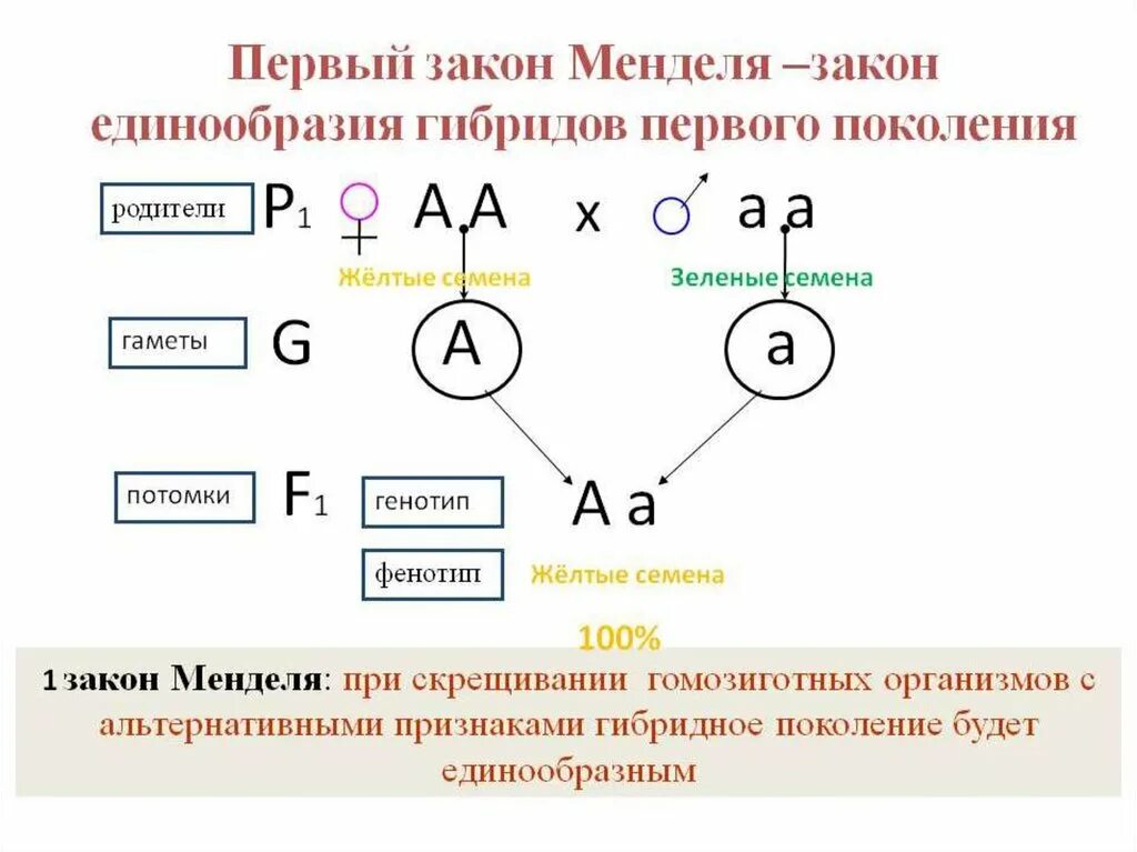 Скрещивание по двум парам признаков называется