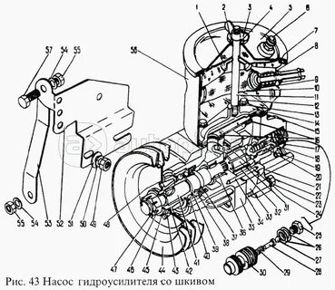 Гур паз