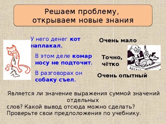 Смысл пословицы комар носа. Кот наплакал фразеологизм. Фразеологизмы со словом кот. Фразеологизм к слову кот. Фразеологизмы про кошек и собак.