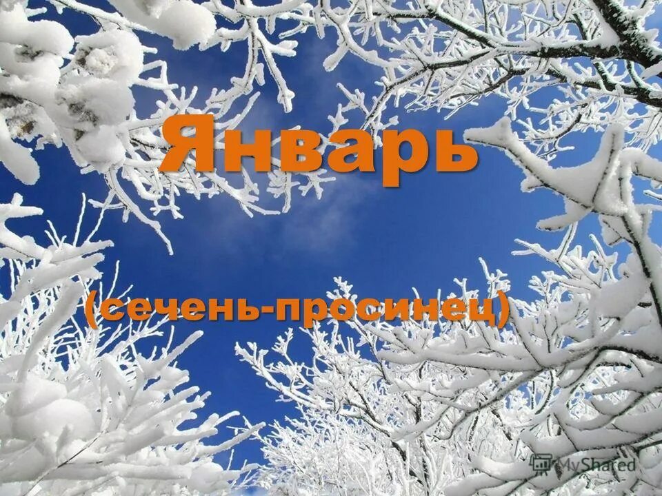 Как зовут январь. Просинец праздник 21 января. январь просинец. тема январь. славянский праздник просинец.