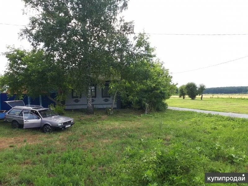 Село Козинка Грайворонского района. Белгородская область Грайворонский район село Казинка. Село Козинка Грайворонского района Белгородской области. Козинка Грайворонский район Белгородская область. Козинка белгородская область фото