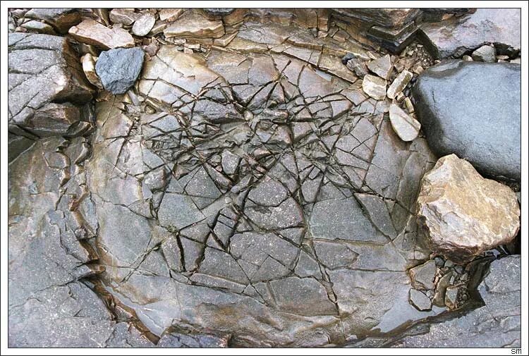 Сталкер артефакты кристалл. Артефакт фэнтези арт. Древние магические артефакты. Артефакт медуза сталкер. Артефакт слизняк сталкер.