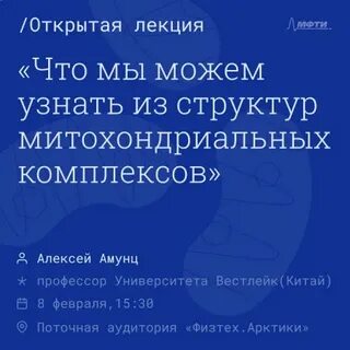 Комплексы лекция
