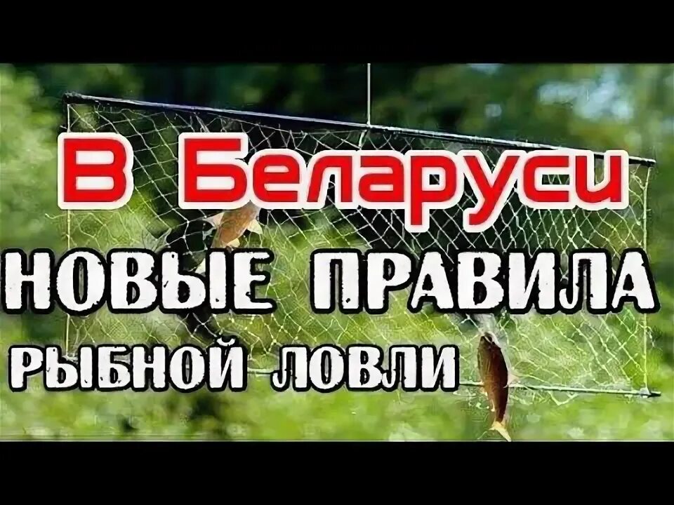 Косынка рыболовная на удочку. Ловля на телевизор. Ловля на телевизор. Телевизор для рыбалки. Экран телевизор рыболовный.