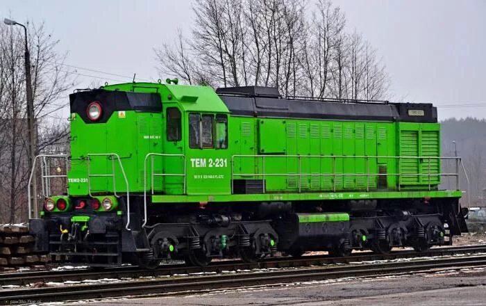 Тэм 2ум тепловоз. Тэм2 тепловоз. локомотив тэм2. тэм12 тепловоз. тэм21-001.