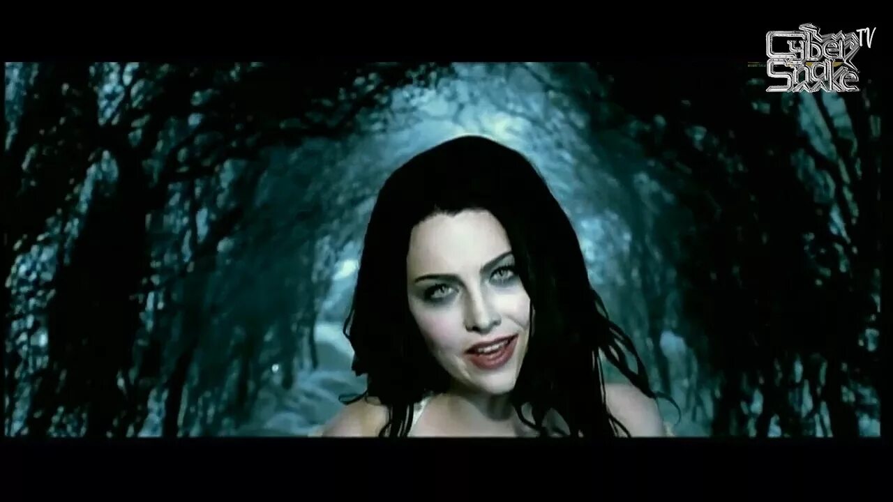 Эванесенс salituro. Evanescence lithium. Evanescence evanescence 2011. Эванесенс salituro. Evanescence фото.