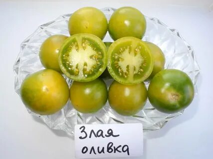 Оливковые помидоры