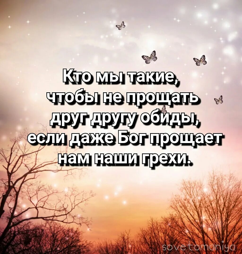 Прости цитаты. Цитаты о прощении. Красивые фразы для прощения. Простить высказывания. Прощение со смыслом