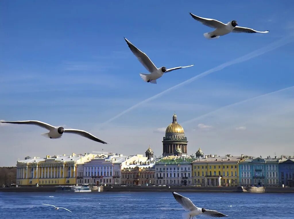 Звезды весеннего петербурга