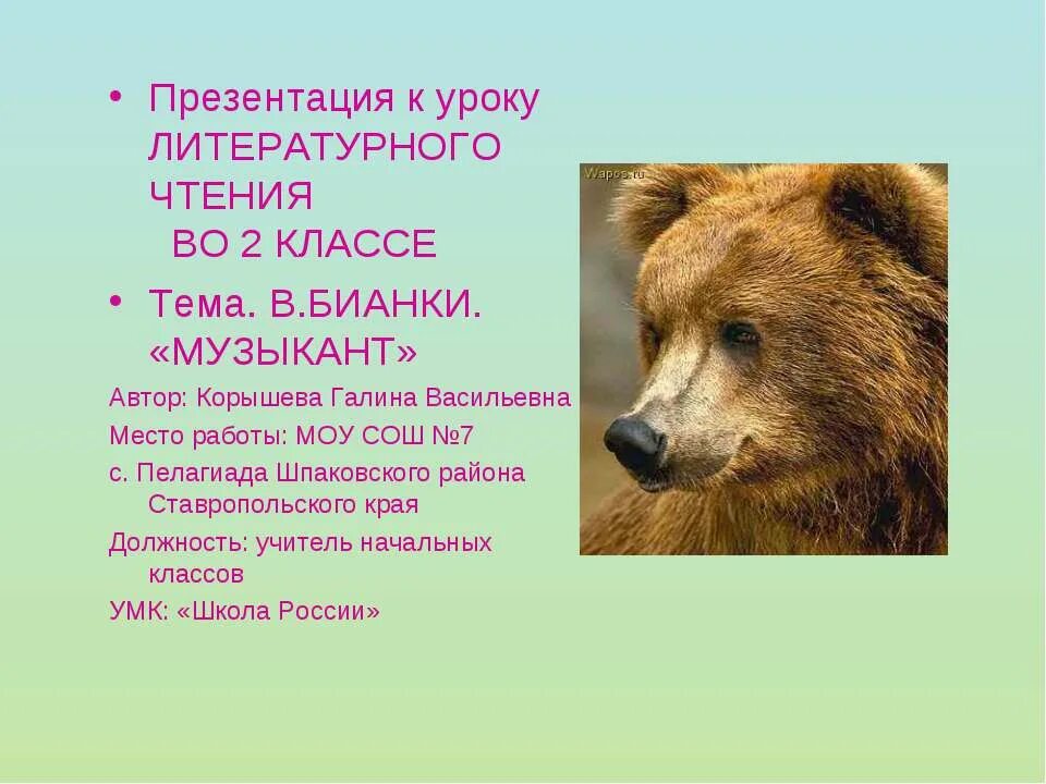Бианки музыкант текст. Презентация в.бианки музыкант. музыкант это 2 класс литературное чтение. в бианки музыкант 2 класс. музыкант бианки 2 класс презентация.