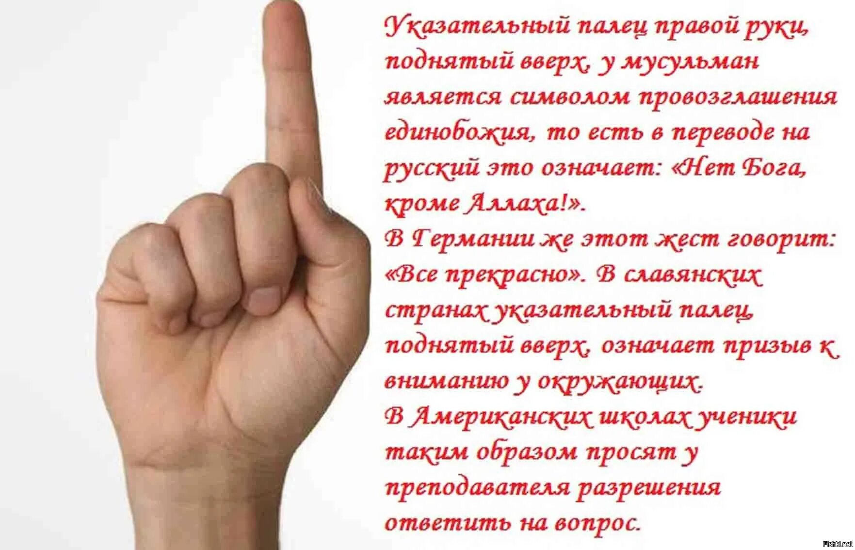 Мусульманский палец. Что значит поднятый палец вверх. Что означает палец вверх указательный. Что значит поднятый вверх указательный палец. Что означает жест указательный палец вверх.