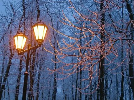 Ночь снег фонарь (67 фото) .