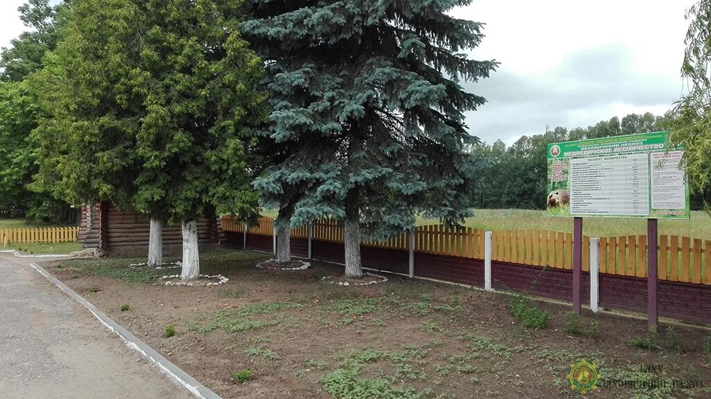 Где находится лесхоз. Ляховичский лесхоз. фото зданий лесного хозяйства. лесничество в д.гончары брестской обл.