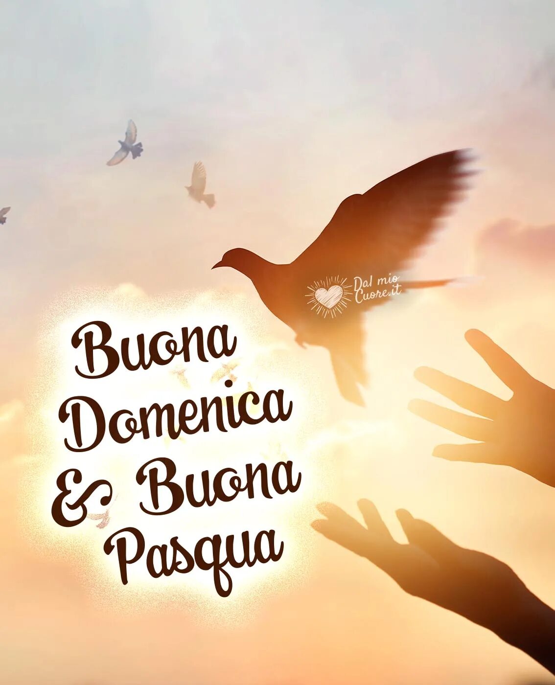 Buona Pasqua che porta il Pace открытки. Buona Pasqua открытки. Colomba di Pasqua перевод. Buona Pasqua картинки на итальянском языке.