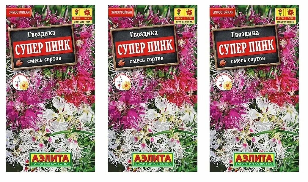 Супер пинк. Супер пинк. Pink. Гвоздика супер пинк пышная смесь (аэл) ц. Гвоздика пышная dianthus superbus.