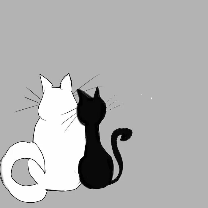 Коты на дзене. Коты на дзене