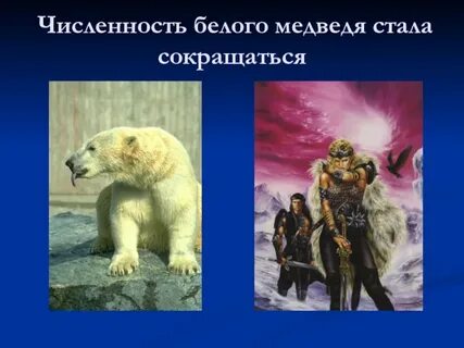 Численность медведей