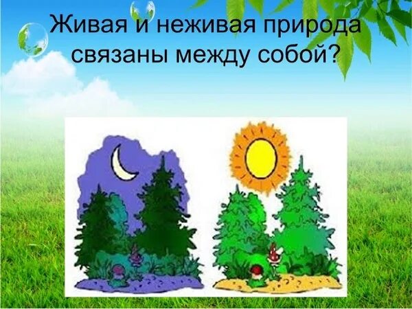 Природные связи между объектами. Связь живой и не живой природы. Связь живой и неживой природы. Взаимосвязь живой и неживой природы. Схема связи живой и неживой природы.