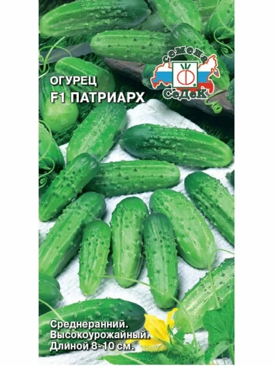 Протравленный семена огурца. Семена огурцов цветов. Огурец атлантис f1. Семена огурцов цветов. Гавриш огурец белый ангел f1.