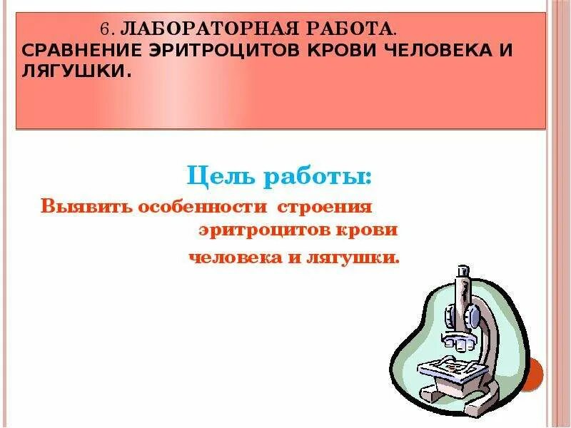 Лабораторная работа сравнение крови лягушки и человека. Лабораторная работа сравнение эритроцитов человека и лягушки.