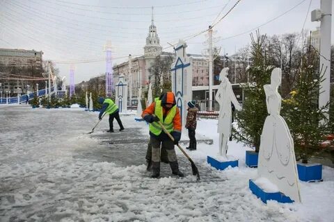 Каникулы в воронеже 2024